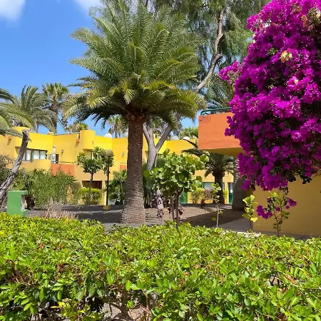 Daire Casa Bella By Holidays Fuerteventura